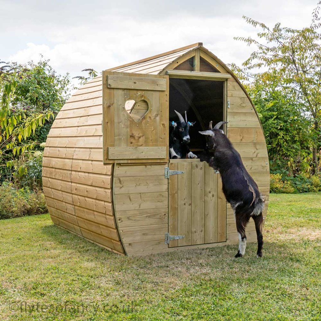 Picture of: Arched Pygmy Goat House with Stable Door