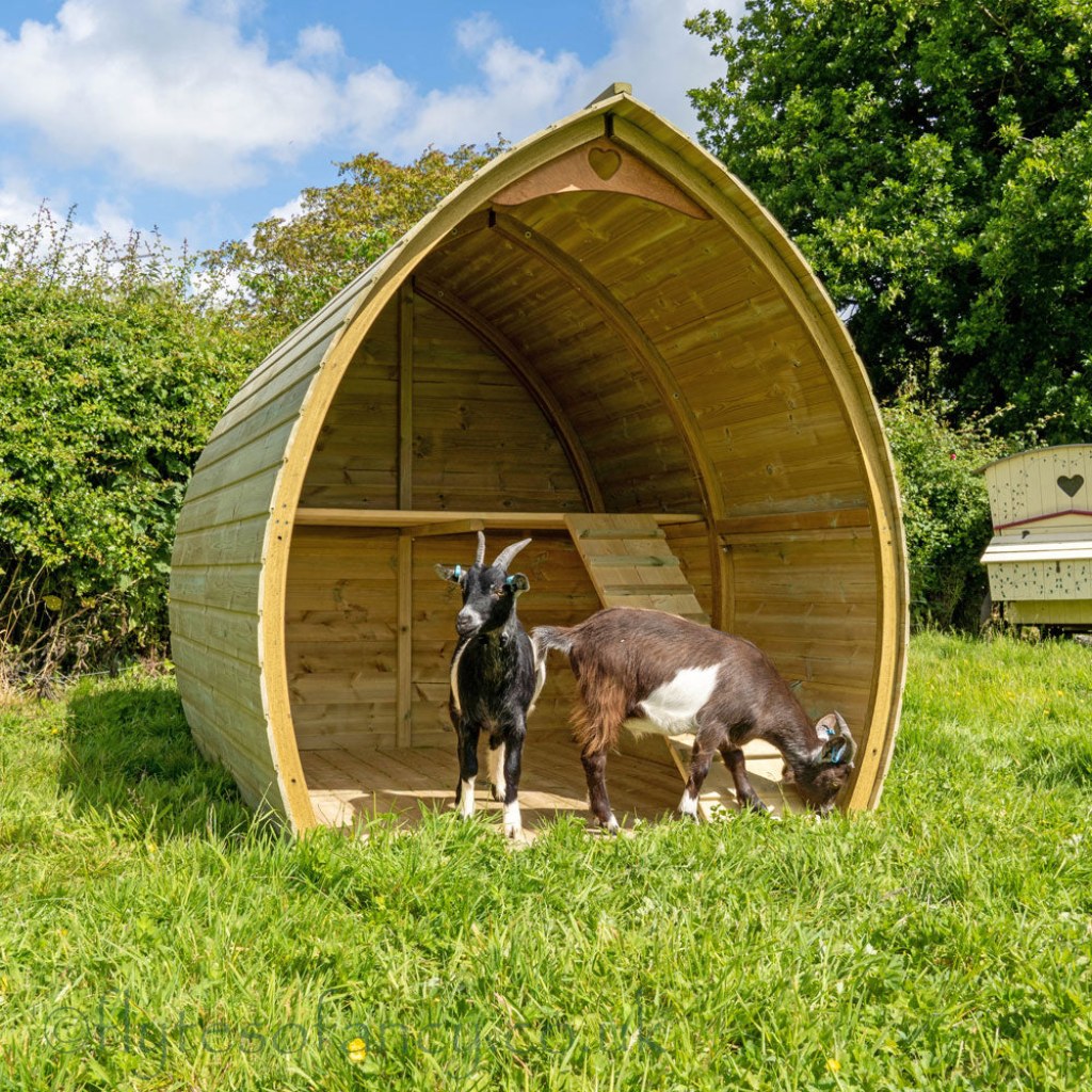 Picture of: Arched Pygmy Goat Shelter