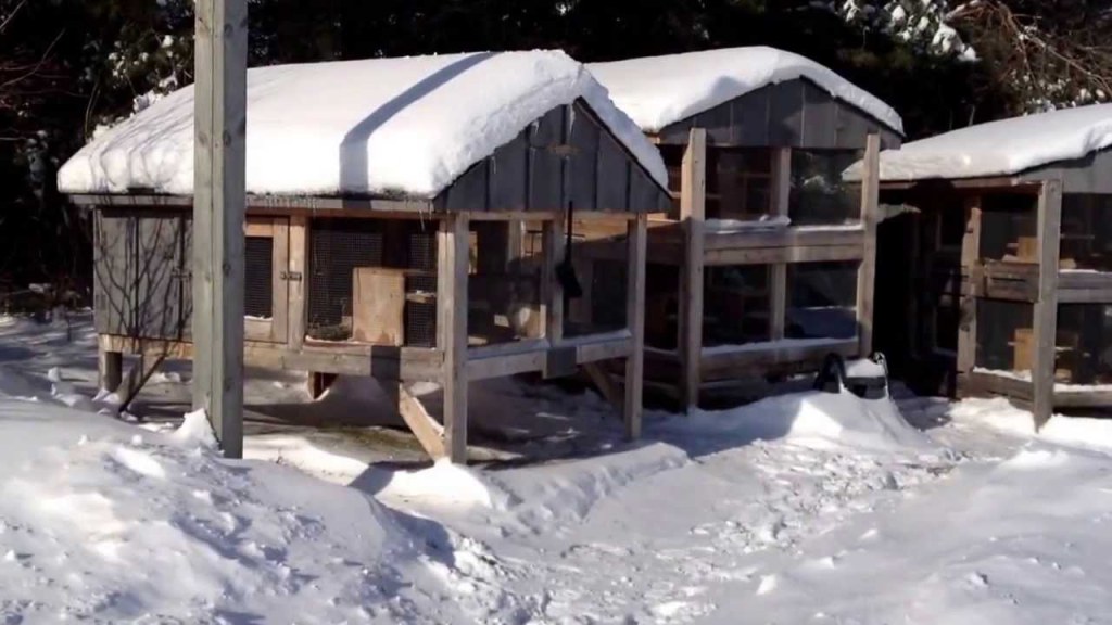 Picture of: Canadian Rabbit Hutch Winter Update