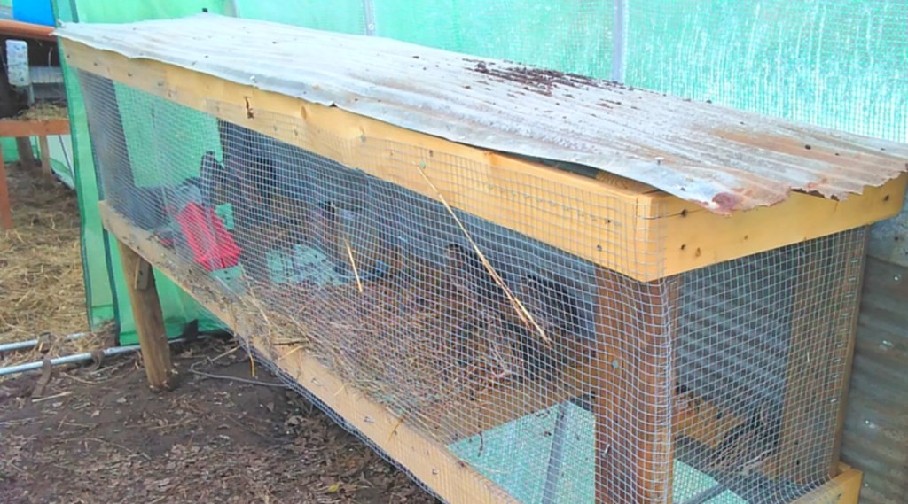 Picture of: Easy Quail Hutch You Can Build in One Weekend – Backyard Poultry