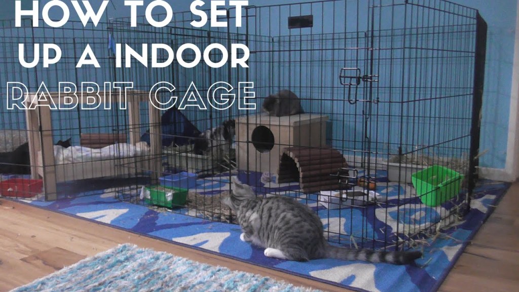 Picture of: HOW TO Set Up A Indoor Rabbit Cage!
