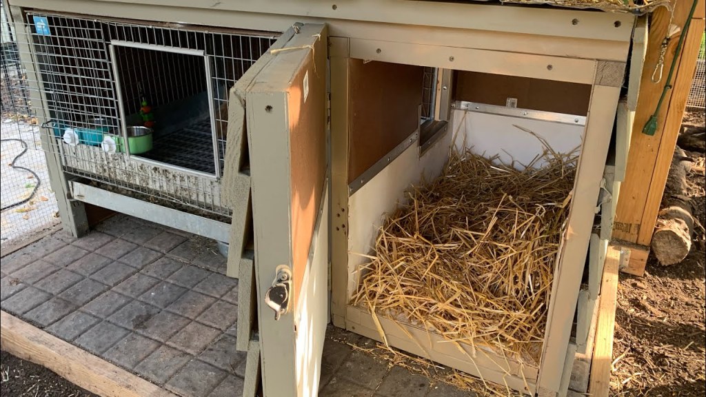 Picture of: Insulated Rabbit Hutch Build ~ Plus Bunny Name Reveal ~ With Twin Cities  Adventures