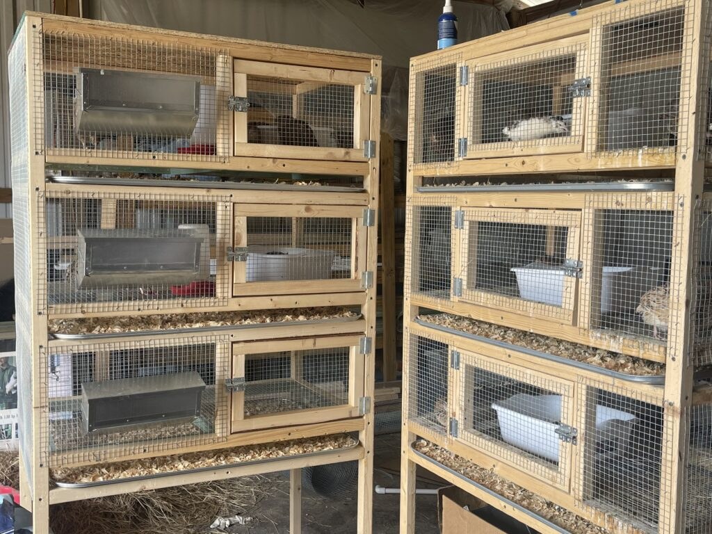 Picture of: Quail Cage Build Made Easy – Simply Made Homestead